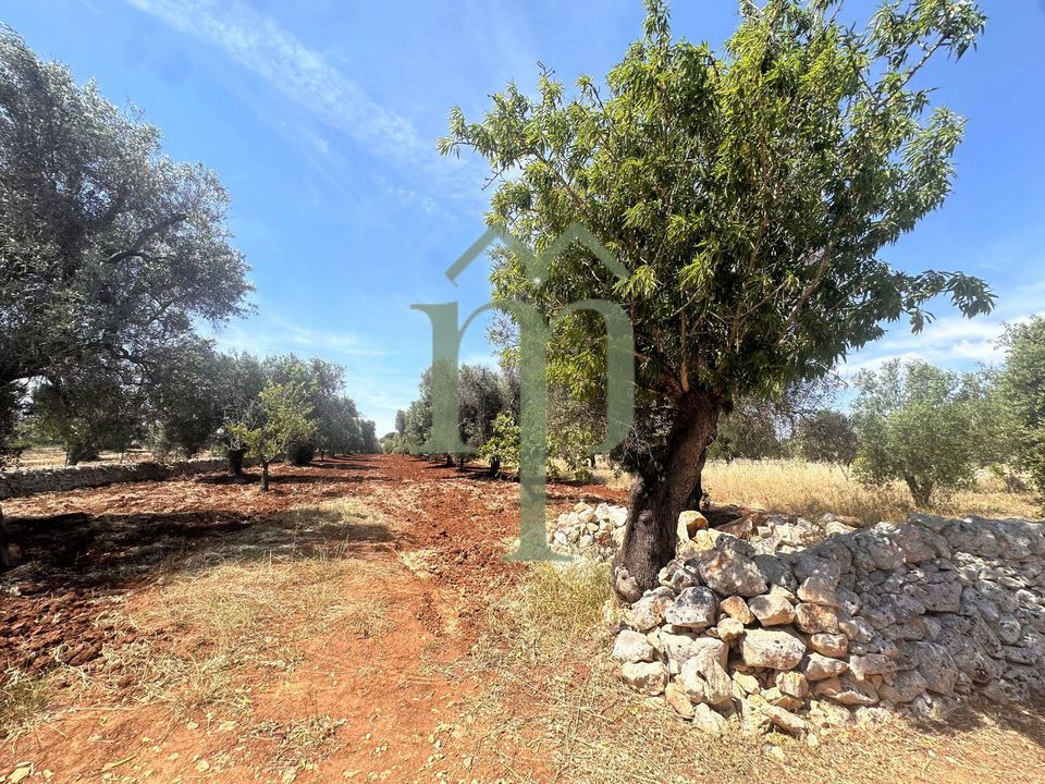 Helårsgrund i Carovigno, Brindisi - foto 5